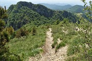 Sui monti sopra casa, Corna Bianca, Costone, Filaressa, da Salmezza il 28 maggio 2020   - FOTOGALLERY